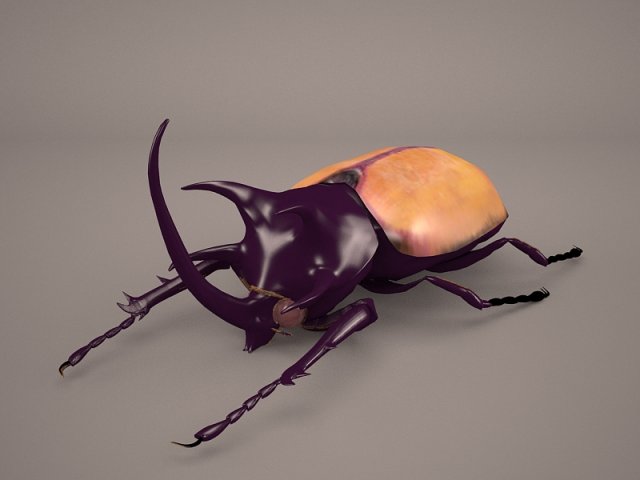 rhinoceros beetle Modelo 3D .c4d .max .obj .3ds .fbx .stl .blend 