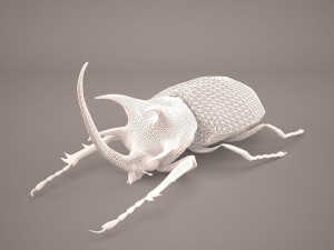 rhinoceros beetle Modelo 3D