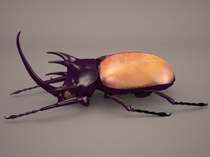 rhinoceros beetle Modelo 3D
