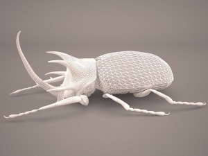 rhinoceros beetle Modelo 3D