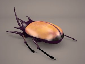 rhinoceros beetle 3D Model