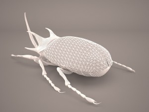 rhinoceros beetle Modelo 3D