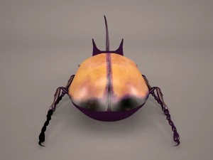 rhinoceros beetle 3D Model