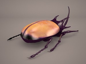 rhinoceros beetle Modelo 3D