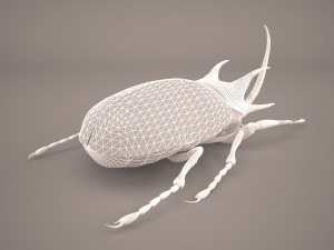 rhinoceros beetle Modelo 3D