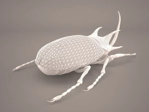 rhinoceros beetle 3D Model
