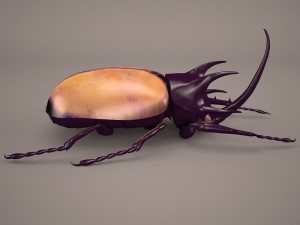 rhinoceros beetle Modelo 3D
