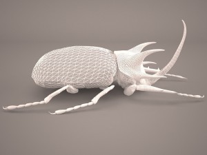 rhinoceros beetle Modelo 3D