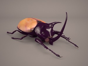 rhinoceros beetle Modelo 3D