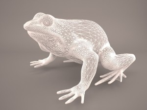 frog 3d model 3D Model