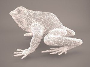frog 3d model 3D Model