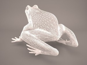 frog 3d model 3D Model