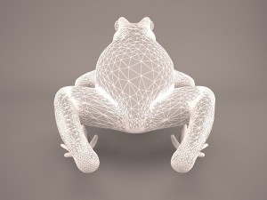 frog 3d model 3D Model
