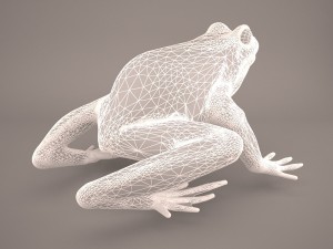 frog 3d model 3D Model