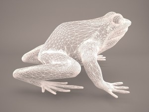frog 3d model 3D Model