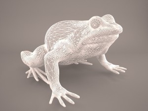 frog 3d model 3D Model