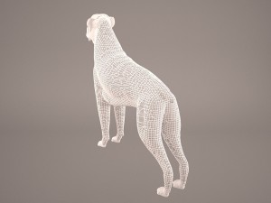 boxer 3D Model