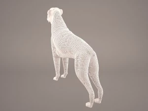 boxer 3D Model