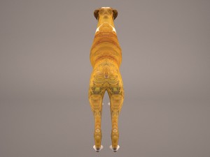 boxer 3D Model
