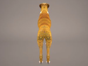 boxer 3D Model