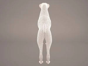 boxer 3D Model