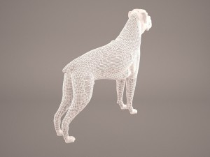 boxer 3D Model