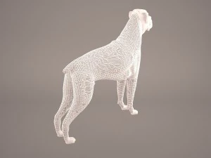 boxer 3D Model