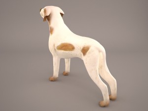 german shorthaired pointer kurzhaar 3D Model