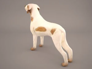 german shorthaired pointer kurzhaar 3D Model