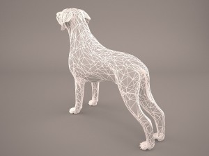 german shorthaired pointer kurzhaar 3D Model