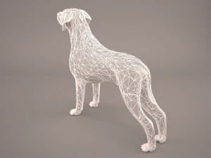 german shorthaired pointer kurzhaar 3D Model