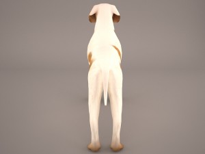 german shorthaired pointer kurzhaar 3D Model