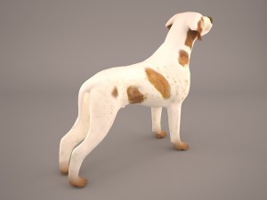 german shorthaired pointer kurzhaar 3D Model