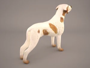 german shorthaired pointer kurzhaar 3D Model