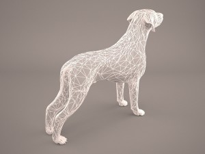 german shorthaired pointer kurzhaar 3D Model