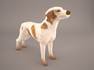 german shorthaired pointer kurzhaar 3D Model