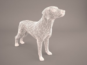 german shorthaired pointer kurzhaar 3D Model
