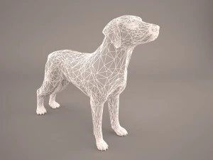 german shorthaired pointer kurzhaar 3D Model
