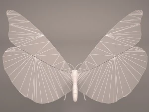 butterfly 3D Model