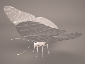 butterfly 3D 모델