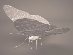 butterfly 3D Model