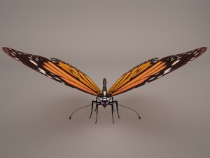 butterfly 3D 모델
