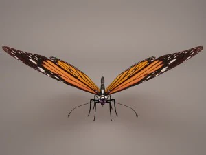 butterfly 3D Model