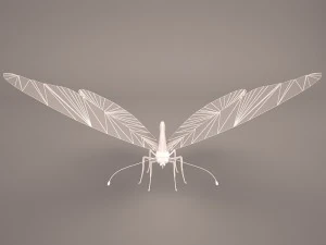 butterfly 3D Model