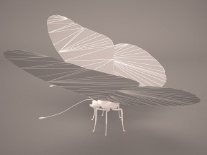 butterfly 3D 모델