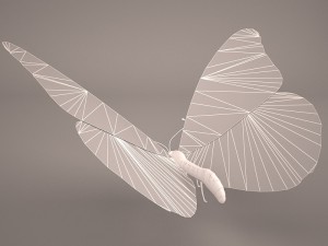 butterfly 3D 모델