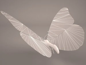 butterfly 3D Model