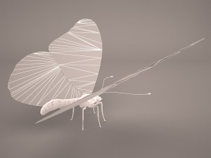 butterfly 3D 모델