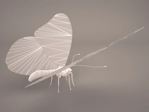 butterfly 3D Model