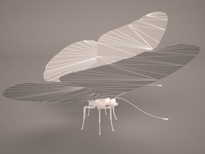 butterfly 3D 모델